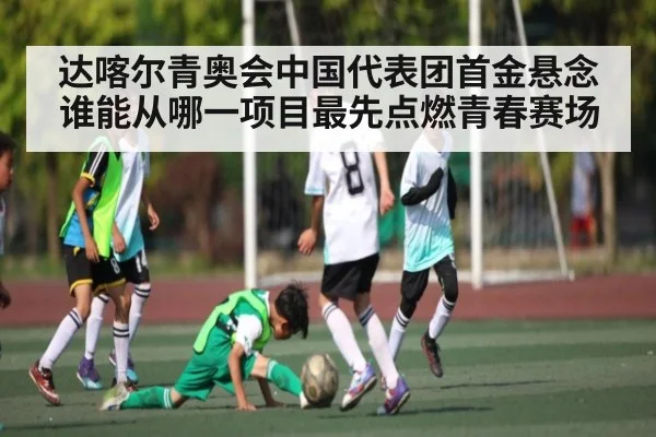 达喀尔青奥会中国代表团首金悬念谁能从哪一项目最先点燃青春赛场